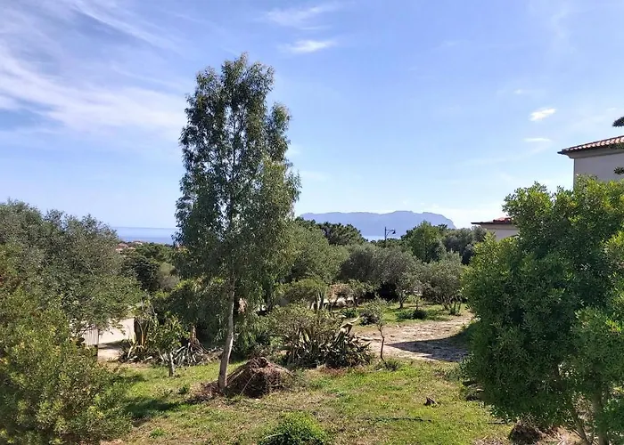 Fiordaliso Sweet Apartament *